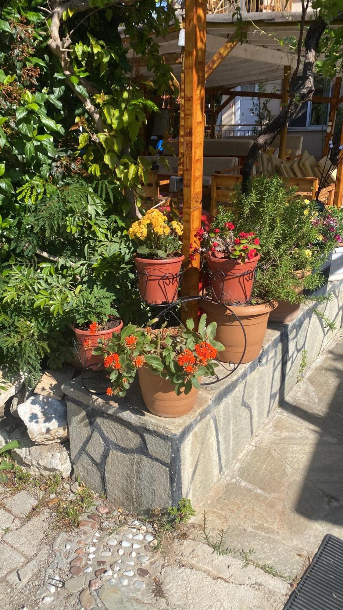 Rosemary Pansiyon Çıralı Exterior foto